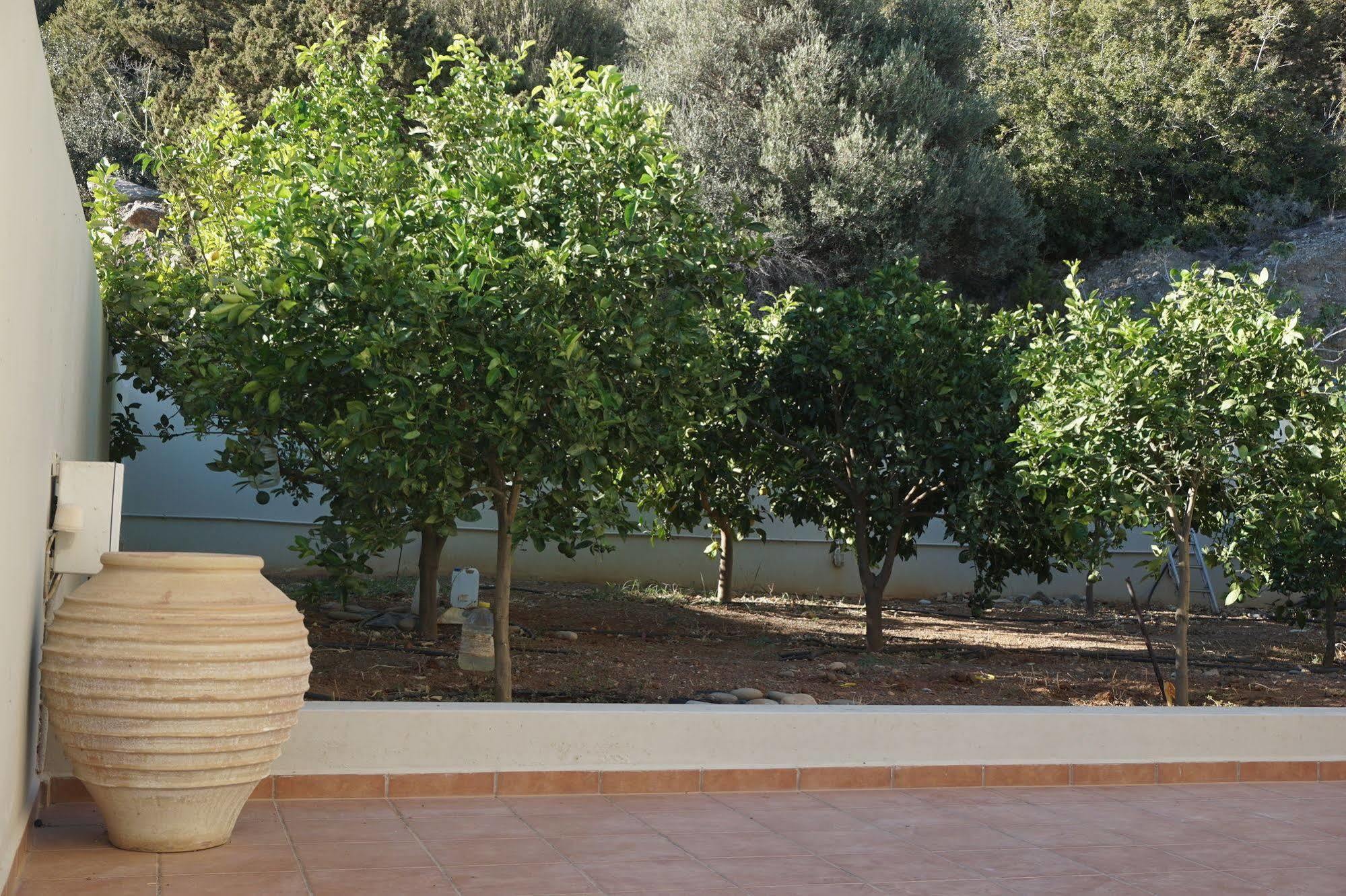 Portela Apartments Kampoula Κερατόκαμπος Εξωτερικό φωτογραφία